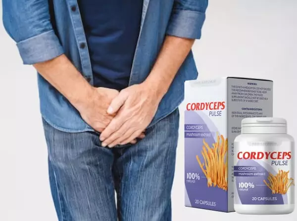 Koostis ja koostisosad