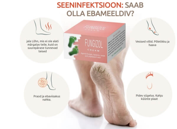 Koostis, koostisosad ja omadused